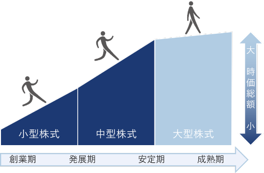 企業の発展段階と時価総額のイメージ。創業期から発展期の発展途上にある中小型株式。