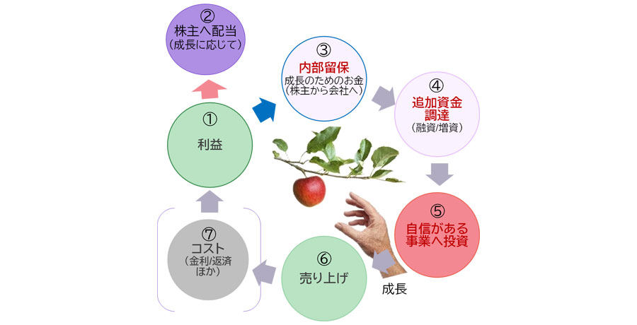 株式には「値上がりする仕組み」がある