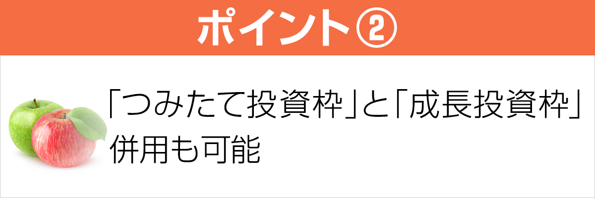 ポイント2　「つみたて投資枠」と「成長投資枠」併用も可能